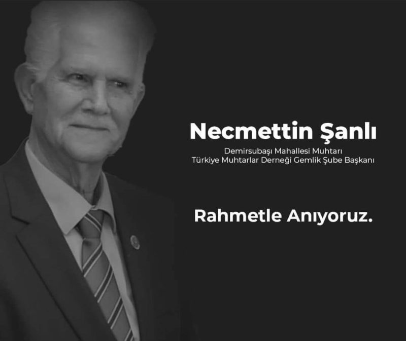 Necmettin Şanlı